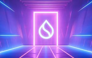 Sui Trademark Protection: A Collective Effort