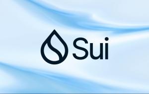 Sui and the Journey Ahead