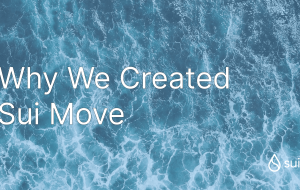 Why We Created Sui Move