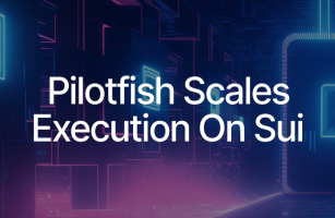 Scaling Out Sui Execution with Pilotfish