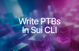 Create and Execute PTBs on Sui with the Sui CLI