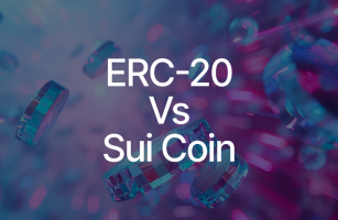 How to Create a Token: ERC-20 Standard Versus Sui Coin