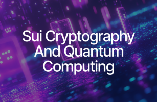 Securing Sui in the Quantum Computing Era