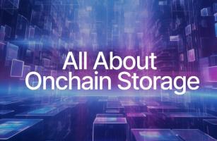 All About Onchain Storage