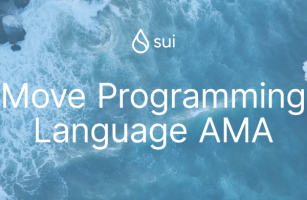 Sui AMA: Move Programming Language