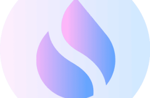 stSUI