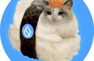 Suishicat