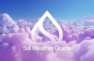 Get Real-Time Weather Data with the Sui Weather Oracle