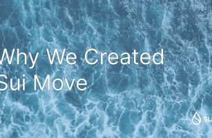Why We Created Sui Move