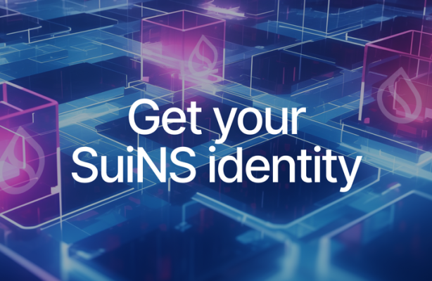 How to get a SuiNS Name
