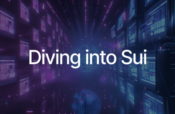 How to Get Started with Sui