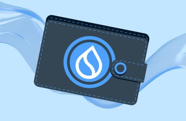 How to Get Started with Wallets on Sui